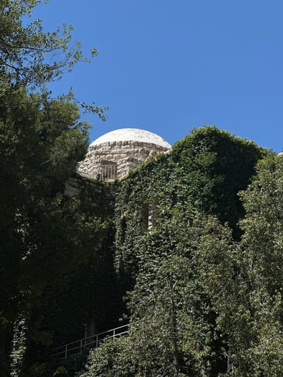 The image captures a stone dome building partially obscured by dense green foliage, set against a clear blue sky. The building's dome is constructed from light-colored, rough-hewn stones. A metal railing is visible along the edge of a balcony or walkway on the dome's structure. The surrounding building walls are covered in thick, green ivy, creating a naturalistic facade. Several large trees with lush green leaves frame the scene, with branches extending into the upper left portion of the frame. In the lower part of the image, a metal railing of a staircase or walkway leads upwards along a wall also covered in ivy. The overall impression is of an old structure integrated with nature, possibly in a garden or park setting within a city like al-Eizariya, Palestinian Territories, which is known for its historical architecture and surrounding greenery.