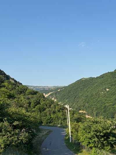 A winding asphalt road descends through a lush, green valley. The road curves to the left in the foreground and continues into the distance, disappearing around a bend. On either side of the road, dense trees and vegetation cover the steep slopes of the valley. The sky is a clear, bright blue with a few small, wispy clouds. In the mid-ground, a few utility poles are visible along the side of the road, with wires running between them. The overall scene depicts a natural, serene landscape.