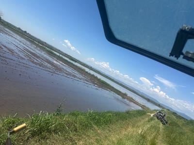 The image depicts a view from inside a vehicle, possibly a tractor, overlooking a flooded agricultural field, potentially a rice paddy, in Zemlen, Bulgaria. The sky is clear with scattered clouds. A portion of the vehicle's window and frame are visible in the foreground. In the midground, the flooded field stretches into the distance, with patches of tilled soil visible beneath the water. Vegetation borders the field's edge. In the background, a distant mountain range can be discerned. A piece of farm equipment lies on the grass beside the field.