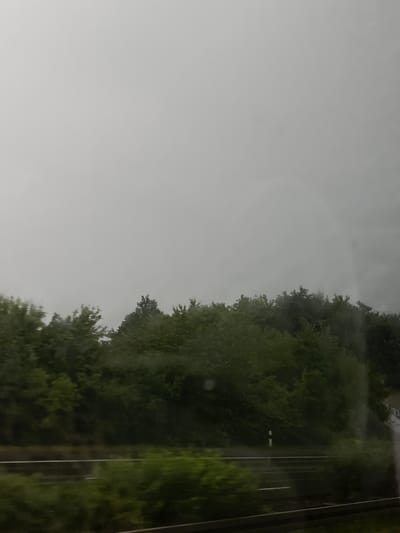The image depicts a view from a vehicle, looking out at a tree-lined road, likely a highway or major road, in Wunstorf, Germany. The sky is overcast and appears to be a pale gray, possibly indicating fog or a cloudy day. Dense green trees form a thick border along the side of the road. A white line is visible on the road, suggesting it is a divided highway. A white post with a reflective element is also visible alongside the road, typical of roadside markers. The overall impression is one of a natural landscape bordering a transportation route under subdued lighting conditions.