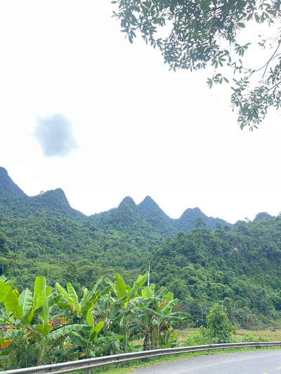 The image depicts a lush, mountainous landscape with a road in the foreground, likely located in Thuận Hòa Commune, Vietnam. A vibrant green forest covers the undulating hills, with several prominent, pointed peaks rising against a bright, overcast sky. In the lower portion of the image, a dense cluster of banana trees with large, broad leaves is visible. A metal guardrail runs along the edge of an asphalt road, which curves gently into the distance. The overall scene conveys a sense of natural beauty and a tropical environment.