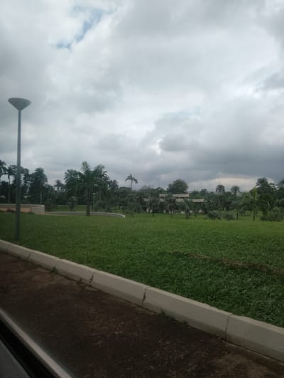 This media file depicts an outdoor scene in Onibudo, Nigeria, on a cloudy day. The foreground shows a paved area with a concrete curb separating it from a lush, green grassy lawn. Beyond the lawn, a variety of palm trees and other tropical foliage are visible, creating a dense, verdant landscape.
In the mid-ground, a modern-looking building with white walls and a flat roof is partially obscured by the trees. The architecture appears to be open with visible columns. A tall, modern lamppost stands prominently to the left of the frame, its dark silhouette contrasting with the overcast sky.
The sky is filled with heavy, grey clouds, suggesting an impending rain or a generally overcast day. The natural light is diffused, casting a soft, muted tone over the entire scene. The overall impression is one of a well-maintained botanical garden or a park area surrounding a building, with a distinctly tropical feel due to the abundance of palm trees. No people are visible in the frame, and no text is present. The atmosphere appears serene and perhaps a bit melancholic due to the cloudy weather.
