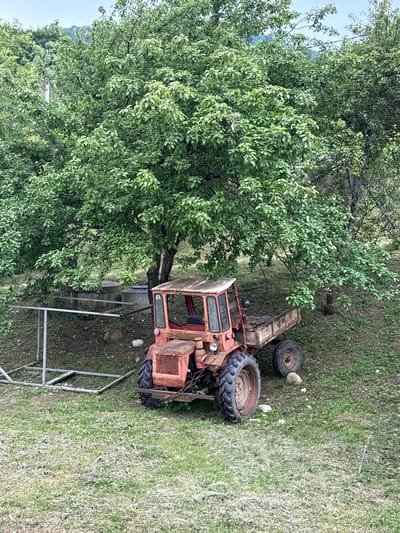 The image displays an outdoor scene with a rusty orange tractor parked on a grassy slope. The tractor appears aged and possibly unused. It has a cab with windows and a trailer attached. The surrounding area is covered in lush green vegetation, with a large tree dominating the left side of the frame. The foliage of the tree is dense and leafy, suggesting it's either spring or summer. The ground is uneven, with patches of dry grass mixed with greener areas. In the background, more trees and a hint of a building can be seen, indicating a rural or semi-rural setting. A metal frame structure is partially visible in the foreground, possibly a part of a shelter or some other agricultural equipment. The lighting suggests it is daytime, with overcast or diffused light, as there are no harsh shadows. The overall impression is one of a quiet, perhaps abandoned, rural landscape in Guamka, Russia. No people are visible in the image.