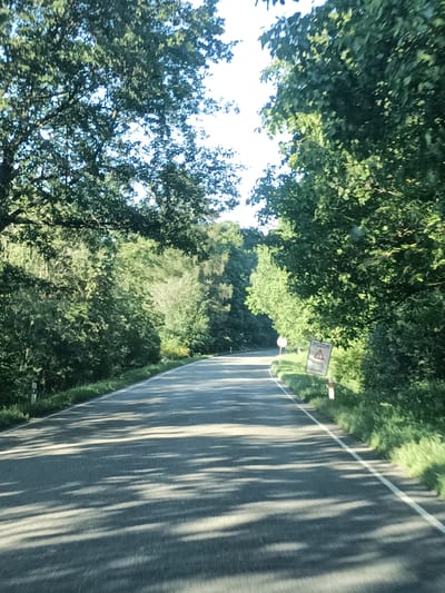 The image depicts a road in a rural, wooded area, likely in Šternov, Czechia. The road is paved and has a white line marking the edge. Trees with lush green foliage line both sides of the road, creating a canopy that casts dappled shadows across the asphalt. The sun is shining, suggesting it is daytime, likely late morning or afternoon, given the angle of the shadows. The overall impression is one of a peaceful, scenic drive through a natural landscape.
On the right side of the road, there are two signs. The first sign is white with a red border and appears to be a warning sign. It has a red triangle with a black symbol inside, though the symbol is not clearly discernible. Below the triangle, text is visible, starting with "POZOR," which translates to "CAUTION" or "ATTENTION" in Czech. Below this, more text is present but unreadable. The second sign is circular with a red border and a white center, typical of a traffic regulation sign.
In the distance, the road appears to curve to the left. The presence of trees and vegetation indicates a natural, possibly forested, environment. There are no people visible in the image, and no specific activity is taking place beyond driving along the road. The lighting and the shadows suggest a clear and sunny day.