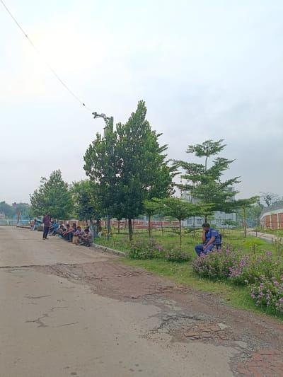 In Benapole, Bangladesh, a group of men are seated on the edge of a paved area, facing a grassy park. A single man, possibly a security guard, is seated on a chair amidst flowering bushes. A building with multiple stories is visible in the background, behind a line of trees. The sky is overcast, and power lines are strung across the upper portion of the image. The paved area appears worn and cracked, with patches of exposed dirt and rubble.