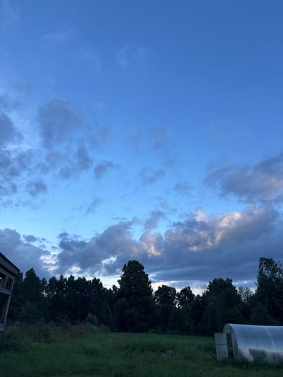 The image depicts a rural landscape in Mazikino, Russia, under a partly cloudy sky. The foreground features a grassy field with a semi-circular greenhouse on the right side. To the left, the corner of a wooden structure is visible. In the background, a dense line of trees forms a dark silhouette against the sky. The sky is a deep blue with scattered clouds, some of which are illuminated by indirect light. There are no people or animals present in the image, and no actions or interactions are occurring. The scene is still and quiet, conveying a sense of natural tranquility.