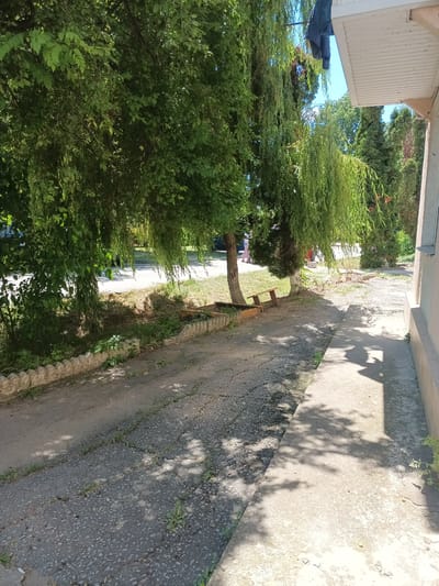 A narrow asphalt path runs diagonally from the bottom left to the middle right of the image, bordered by a concrete sidewalk on the right. The path is cracked and has sparse vegetation growing through it. A low, decorative stone border runs along the left side of the path, separating it from a grassy area with some trees. In the background, a road is visible with a few vehicles and people walking. To the right of the path, a light-colored building with a white overhang and a concrete pillar is present. Sunlight casts dappled shadows from the trees onto the path and sidewalk. The overall environment appears to be a sunny day in a residential or public area.