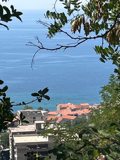 The image shows a view of the town of Nerin, Montenegro, from an elevated vantage point. In the foreground, branches with green leaves and seed pods frame the scene. The middle ground features buildings with terracotta roofs, clustered together on a hillside. Beyond the town, the blue waters of the Adriatic Sea stretch to the horizon. A small boat is visible on the water. The overall impression is one of a peaceful coastal town on a sunny day.
