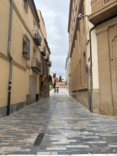 The image depicts a narrow paved street in Barriada De Villalba, Spain, under an overcast sky. The perspective looks uphill, tapering towards a distant open area.
On the left, a multi-story building with a light beige facade features multiple windows, some with decorative black metal grilles, and several small black metal balconies. A grey metal downspout runs vertically along the left wall. A black trash receptacle is visible near the base of this building towards the middle distance.
On the right, a multi-story building with a light brown/tan, possibly stone, facade exhibits strong vertical architectural elements and recessed windows. A grey streetlamp extends horizontally from this building at mid-height in the foreground. Below it, a black pole holds a blue rectangular street sign and a red circular "no parking/stopping" sign. Electrical conduits are also visible on this wall.
The street is paved with rectangular stone slabs in varying shades of grey, blue, and brown, arranged in a horizontal, staggered pattern. A dark grey linear drainage grate runs down the center of the street in the foreground. The paving appears slightly wet, reflecting the dull light.
In the mid-ground, towards the top of the incline, three individuals are visible: two adults and one child, standing in conversation near the center of the street. Beyond them, a small group of tall, slender evergreen trees (likely cypress) stands prominently. Architectural elements and what appears to be a red banner or structure are visible in the background, along with a white sign displaying the word "MOLINETE". The overall impression is a quiet urban environment with a blend of older and potentially newer architectural styles.