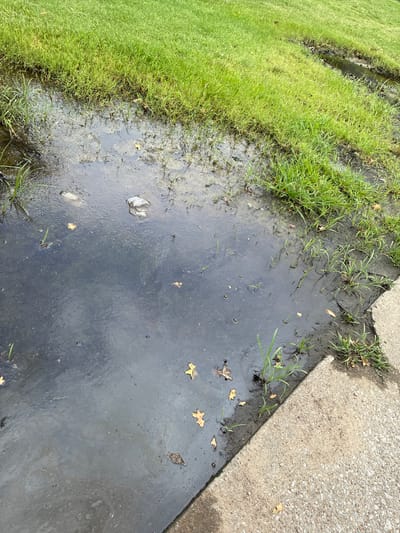 The image shows a puddle of dark, stagnant water on the ground, bordered by a concrete sidewalk on the right and green grass on the left. Several fallen leaves are visible in the water, along with some small green shoots of grass growing out of the muddy edges. In the upper left portion of the puddle, there is a piece of white plastic debris. The sky is overcast, casting a dull light on the scene. The image was captured in Balch Springs, United States of America.