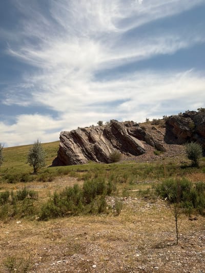 An outdoor, natural landscape scene under a partly cloudy sky features a prominent rock formation in the mid-ground. The rock face is steeply angled, with distinct layers and striations visible. Vegetation, including dry grasses, shrubs, and a few trees, surrounds the base of the rock formation and covers the gently sloping hillside to the left. The foreground is a mix of dry grass and gravel. To the right of the rock formation, the terrain appears more rugged with loose rocks. The image captures a rural or undeveloped area, consistent with the outskirts of Temirlanovka, Kazakhstan, a region known for its varied geological features and natural beauty. No people are visible in the frame, and the overall impression is one of a serene, natural environment.