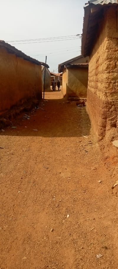 An image captured in Kasuwan Magani, Nigeria, shows a narrow, unpaved alleyway composed of reddish-brown earth, extending into the background. The ground exhibits scattered debris, small rocks, and dry vegetation. On the left, a building constructed from reddish-brown, unrendered earthen material features a dark, corrugated roof that overhangs slightly. Litter and discarded materials are accumulated at the base of this wall. On the right, a similar building with textured, reddish-brown walls and a dark, corrugated roof lines the alley. The lower section of this right wall displays horizontal banding. In the mid-ground, two individuals are observed walking away from the camera, deeper into the alley. The person on the left wears patterned attire, while the person on the right is dressed in darker clothing. Beyond them, additional structures with corrugated roofs are visible. Overhead, multiple dark electrical or communication wires are present. A dark, vertical wooden post is partially discernible in the mid-ground, positioned between the two prominent foreground buildings. The sky is bright, appearing overcast or hazy.