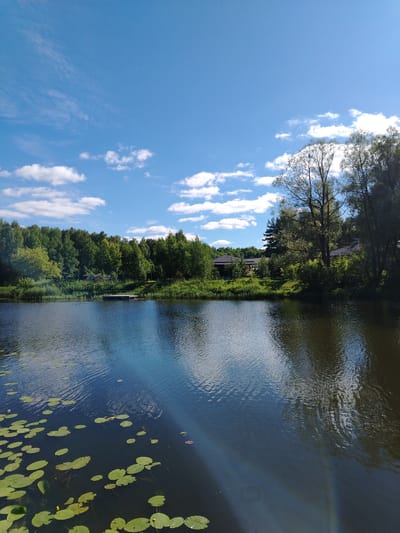 The image depicts a serene natural landscape with a body of water in the foreground. The water is dark and reflects the sky and surrounding trees, with ripples disturbing the surface. Lily pads are scattered across the water, some with small yellow flowers. A wooden dock or pier juts out into the water from the left side of the frame.
Beyond the water, a lush green treeline dominates the middle ground, with various shades of green indicating different types of foliage. A few houses with dark roofs are visible peeking through the trees, suggesting a residential area bordering the natural environment.
The sky above is a bright blue with scattered white cumulus clouds. The overall impression is one of a peaceful, sunny day in a rural or semi-rural setting. The specific location in Stroitel', Russia, is suggested to be a lake or pond within or adjacent to a wooded area with some residential development. No people or animals are visible in the image.