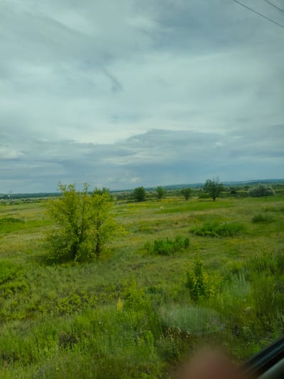 The image depicts a wide, open landscape under a cloudy sky. The terrain is primarily covered in green grass and low-lying vegetation, with scattered trees and bushes. In the foreground, a large, bushy green tree is prominent. The middle ground shows a gently rolling field with more trees and patches of yellow flowers. In the distance, a treeline and hills are visible, with a faint hint of water or a broad, flat expanse. A power line pole with wires is visible on the left side of the frame, and a dark diagonal line, possibly a car window frame, is present in the lower right corner. The overall scene suggests a rural or semi-rural environment.