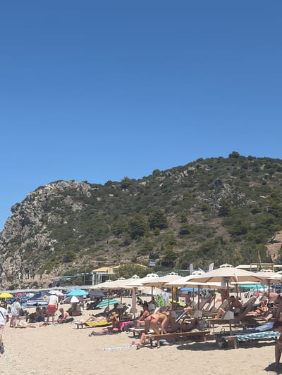A sunny day at a crowded beach with numerous people sunbathing and relaxing under umbrellas. The beach is sandy with a clear blue sky overhead. In the background, a lush green, rocky hillside rises steeply, dotted with trees and vegetation. There are many beach chairs and umbrellas arranged on the sand, with people in swimsuits lying on chairs or towels. Some individuals are standing and walking around. The scene depicts a typical summer vacation atmosphere. The location is likely a popular tourist destination within the Municipal Unit of Sfakiates, Greece, known for its coastal beauty and mountainous terrain.