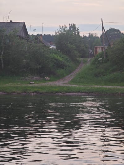 The image depicts a rural scene at dusk, likely in the village of Yukseevo, Russia, characterized by a body of water in the foreground and a slight incline leading to vegetation and buildings in the background. The water exhibits ripples reflecting the muted, overcast sky, which has a pale pink and grey hue.

On the embankment, a dirt path winds uphill, bordered by green grass and dense foliage. Several trees and bushes create a thick natural barrier. Visible on the left side of the path are two roughly cut logs, and a piece of what appears to be a long wooden beam or bench lies on the grass. Further up the slope, a dilapidated wooden house with a corrugated metal roof is partially obscured by trees. Adjacent to it, another structure with a brick chimney is visible. Electrical poles with wires are scattered across the scene, suggesting a connection to a power grid. In the distance, a rusted metal structure, possibly a silo or storage container, stands amidst the greenery. The overall atmosphere is tranquil and somewhat melancholic, indicative of a quiet evening in a rural setting. There are no people or animals clearly visible in the image.