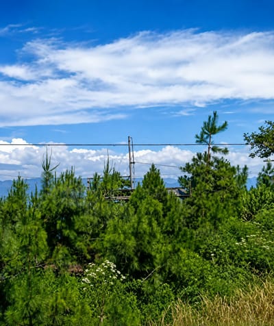 The image depicts a vibrant landscape with lush green pine trees dominating the foreground. A dense undergrowth of various plants, including some with small white flowers, covers the ground. In the background, distant mountains are visible, softened by a hazy atmosphere, under a bright blue sky dotted with fluffy white clouds. A power line stretches horizontally across the middle ground, supported by poles. The scene is suggestive of a natural, undeveloped area, possibly on the outskirts or a rural part of the city of Parik Sabungan, Indonesia, characterized by its mountainous terrain and abundant vegetation.