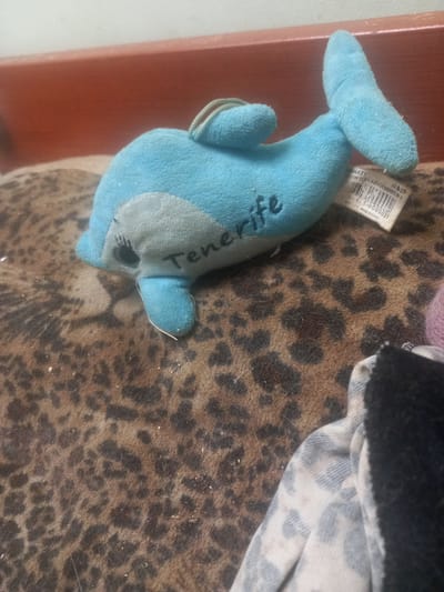 A close-up, high-angle shot shows a blue stuffed dolphin with the word "Tenerife" printed on its side, lying on a leopard-print rug. A tag is attached to the dolphin's body. In the foreground, a corner of a black and white patterned fabric is visible. The background consists of a wooden surface. The scene is located in Maloye Lugovoye, Russia.