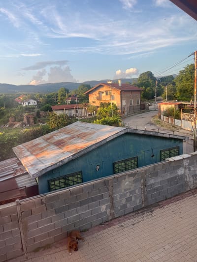 The image captures a daytime scene in Krainitsi, Bulgaria, likely during the late afternoon given the warm, low-angled sunlight illuminating the buildings and landscape. The setting appears to be a residential area characterized by a mix of older and more recently constructed buildings, some with tiled roofs and others with corrugated metal. In the foreground, a dog is resting on a paved area made of interlocking concrete blocks. Beyond the immediate foreground, the scene opens up to a view of houses nestled amongst lush green trees, with a mountainous backdrop partially obscured by haze. The sky is a clear blue with delicate, wispy clouds. In the mid-ground, a street runs between buildings, and a few power lines are visible, suggesting an inhabited area. The overall impression is one of a quiet, rural or semi-rural Bulgarian village bathed in the golden light of a fading day. There is no visible text in the image.