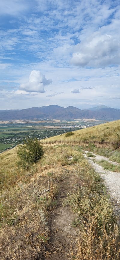 This is a vertical, medium-shot, eye-level, outdoor, daylight photograph taken from a hillside overlooking a valley and distant mountains. The foreground is dominated by dry, golden-brown grasses and a dirt path winding up the hill from the lower right corner towards the center of the frame. To the left of the path, a small, dark green bush is visible.
In the middle ground, a vast valley stretches out, dotted with fields of varying shades of green and brown, indicative of agricultural land. A small town or city is nestled within the valley, characterized by scattered buildings and infrastructure.
The background features a range of layered mountains, their peaks varying in color from muted blues and grays to warmer browns. The sky above is a vibrant blue, populated by a mix of fluffy white clouds and more wispy, scattered cloud formations.
The overall impression is one of a scenic, natural landscape with evidence of human settlement in the distance. The scene is static and does not contain any people or animals. The location is the city of Сырымбет, Kazakhstan.