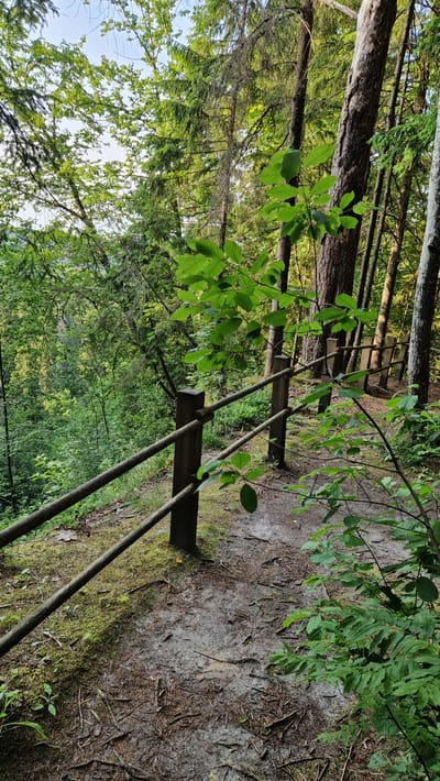 The image shows a wooden railing along a dirt path in a forest. The path is surrounded by lush green trees and foliage. The railing is made of two horizontal wooden poles supported by vertical wooden posts. The path appears to be well-maintained, with some moss growing on the ground and scattered pine needles. In the background, there is a steep slope covered in trees, suggesting the path may be on the edge of a ravine or valley. The sky is visible through the trees, with some patches of blue. The overall scene is one of natural beauty and tranquility. This location is likely in the vicinity of the Daudas river in Latvia, which is known for its scenic forested areas and walking trails.