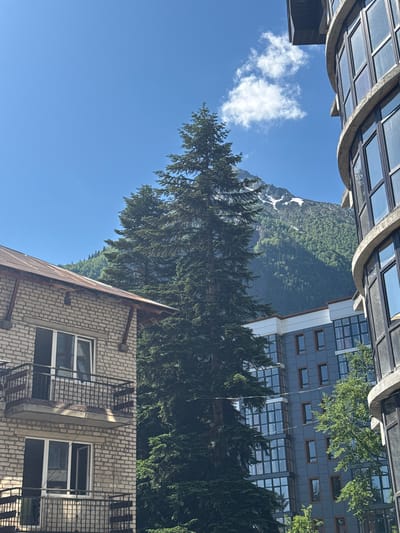 The image depicts a sunny day in Dombay, Russia, with a clear blue sky and a few scattered clouds. In the foreground, a tall evergreen tree stands prominently. To the left of the tree is a brick building with balconies and windows. To the right, a modern, curved building with large windows is visible, and further behind it is another building with a gray facade and numerous windows. In the background, a majestic mountain range dominates the scene, with its upper slopes covered in snow, contrasting with the green, forested lower slopes. The overall impression is of a mountain resort town, where architecture meets natural beauty.