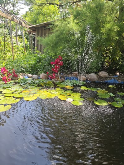 The image depicts a tranquil garden pond situated in Unarokovo, Russia. The pond is filled with dark, rippling water, dotted with numerous vibrant green lily pads. A single delicate pink and white water lily blooms prominently in the foreground. A small fountain in the center of the pond creates a refreshing spray of water, with tiny droplets catching the sunlight. The pond is bordered by smooth, rounded stones of varying sizes, and behind them, lush green foliage and vibrant red flowers add splashes of color to the scene. In the background, a rustic wooden shed with a corrugated roof stands partially obscured by the abundant greenery, suggesting a well-established garden setting. The overall impression is one of natural beauty and peaceful outdoor living.