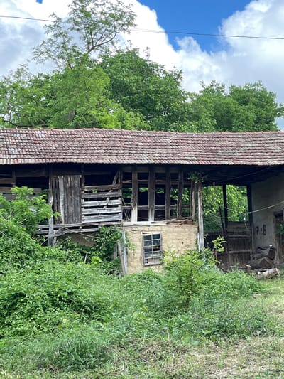 The image displays a dilapidated, possibly abandoned two-story building set amidst dense green vegetation under a partly cloudy sky. The building, likely a barn or old house, features a prominent red-tiled roof. Its structure shows significant decay, with much of the wooden framework on the upper level and front facade exposed and weathered.
On the lower right side of the building, a small, multi-paned window with a broken frame is visible in a light-colored, textured wall. Above this, a large opening reveals a dark interior, with horizontal wooden planks forming a broken barrier or railing at what would be the second-floor level. Higher inside the building, what appears to be stacked logs or cut wood can be seen. On an internal concrete surface in the upper section, the letters "B_b" (possibly "Bob") are spray-painted in black.
Lush green vegetation, including tall trees with full canopies and thick undergrowth, surrounds and partially envelops the structure. Dense bushes and vines grow profusely on the right side, spilling into the foreground and obscuring parts of the building. The sky above is bright blue with scattered white, fluffy clouds. Two thin, dark lines, possibly wires, stretch vertically across the sky on the left. The scene depicts a quiet, rural setting in Byala Reka, Bulgaria, characterized by nature reclaiming man-made structures, under bright daytime conditions.