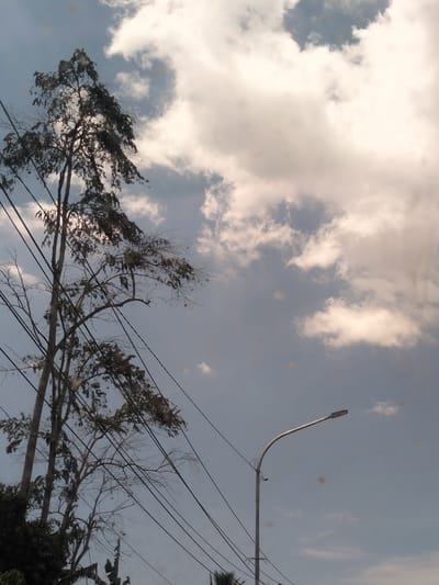 The image shows a partly cloudy sky above Putoh Sa, Indonesia. A tall, partly leafless tree stands to the left, with numerous electrical wires running through its branches. To the right is a streetlight against the blue sky. Vegetation is visible at the bottom of the image.
