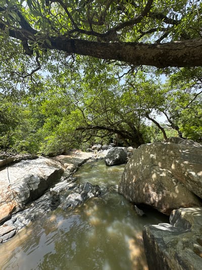 The image shows a rocky stream flowing through a lush green forest. Sunlight filters through the dense canopy of trees, casting dappled shadows on the water and rocks. The water is clear and appears shallow, with smooth, rounded stones visible beneath the surface. Large boulders are scattered along the stream banks, some partially submerged. The vegetation is abundant, with various shades of green foliage creating a dense, almost impenetrable wall of growth behind the stream. The overall impression is one of a serene and natural environment, untouched by human intervention. There are no people visible in the image. The location is identified as Fobur, Nigeria.