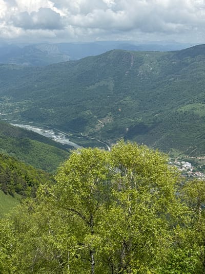 An aerial, vertical, medium shot captures a lush, green valley in Nizhnyaya Teberda, Russia. In the foreground, several birch trees with bright green leaves are the primary subjects. Their white, textured bark and delicate branches are visible, contrasting with the dense foliage. The middle ground reveals a winding river with a wide, rocky bed, flowing through the valley. A road runs parallel to the river, and a small town with red-roofed buildings is nestled in the valley. The background is dominated by rolling, tree-covered mountains that fade into the hazy distance, under a sky filled with dramatic, grey clouds. The overall scene depicts a serene, natural landscape with signs of human habitation.