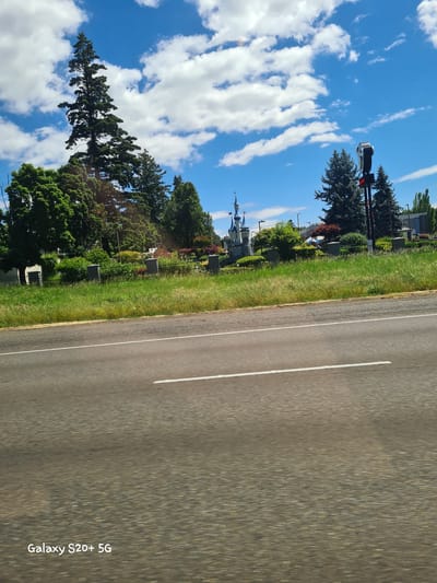 The image shows a view from a moving vehicle on a road. In the distance, across a grassy area and a low fence, is a miniature castle structure, typical of a roadside attraction or amusement park. To the right of the castle, a tall traffic signal with red lights is visible. Evergreen trees are scattered throughout the background, and a large, tall evergreen tree dominates the left side of the frame. The sky is blue with scattered white clouds. The foreground shows the asphalt road with a white lane divider. The text "Galaxy S20+ 5G" is superimposed on the bottom left of the image. The scene appears to be located in Wilsonville, United States of America, likely near a commercial area or highway.