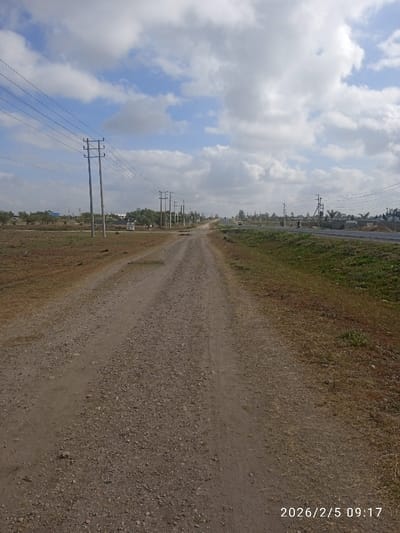 A dirt road stretches into the distance beneath a sky dotted with fluffy white clouds. Power lines and poles line the left side of the road, mirroring a green grassy shoulder on the right where a paved road is visible. The landscape is dry, with sparse vegetation flanking the path. The date "2026/2/5 09:17" is stamped in the lower right corner.