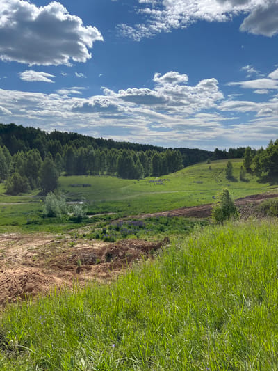 The image displays an outdoor landscape under a partly cloudy blue sky, captured in Новочувашский, Russia, during daylight hours. The upper third of the frame shows a blue sky with scattered cumulus clouds, varying from bright white to grey. Below the sky, a distant, dense line of green deciduous trees forms a forest across the horizon. The midground comprises rolling green hills covered in grass, featuring several patches of purple flowering plants. A small, still body of water is visible in a lower grassy area, surrounded by light green foliage. Dirt tracks and excavated reddish-brown earth are present, winding through the grassy terrain and along the slopes, with one distinct area of exposed, textured earth in the foreground and mid-right. A solitary, light-green sapling stands on a grassy slope in the mid-right. The immediate foreground is dominated by verdant green grass on the right and a large expanse of reddish-brown excavated earth or sand on the left and center. No people or animals are visible.