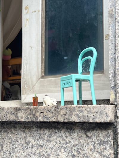 This image captures an external view of a window on a structure in 영등포구, South Korea. The window features a weathered white frame exhibiting dirt, grime, and peeling paint. A grey speckled granite sill, with dark flecks, extends beneath the window. The right window pane is closed and appears dirty, reflecting a dark, indistinct background with vague green shapes suggesting foliage. The left window pane is partially open, revealing a segment of an interior space containing a light-colored curtain pulled to the left, wooden shelving, several soft, indistinct objects (possibly plush toys), and a white bag with red text partially legible as "I ❤ PET MILK". Positioned on the granite sill are three small decorative items: a miniature teal-colored plastic chair with a distinctive curved backrest, a small white figurine of a cat with black spots, and a tiny orange-brown pot containing a miniature green plant. No people are visible.