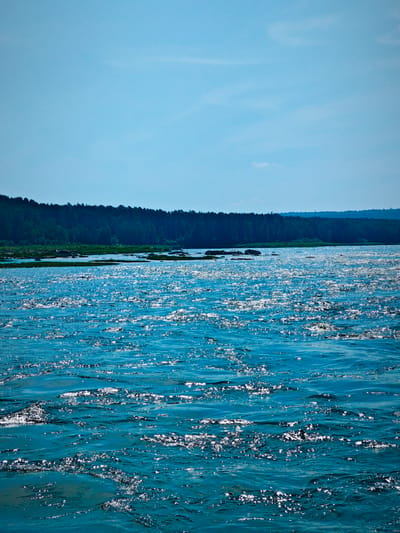 The image depicts a wide expanse of choppy, blue water, reflecting the bright sunlight with numerous glittering highlights. In the background, a dense, dark green forest stretches horizontally across the horizon, creating a stark contrast with the bright water and sky. The sky is a clear, pale blue with a few faint, wispy clouds visible in the upper portion. The scene is likely a natural landscape, possibly a river or lake in the city of Porog, Russia, given the hint provided. There are no people or specific objects clearly identifiable in the image, other than the natural elements of water, forest, and sky. The overall impression is one of a sunlit, natural environment.