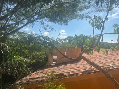 A terracotta tile roof dominates the lower view, supporting a tree branch with green leaves. A tan-colored chimney rises from the roof, featuring a small window opening. Behind the roof, a dense green forest extends towards a partly cloudy sky. Power lines are visible against the sky. Additional tree branches frame the top of the image, partially obscuring the sky and distant trees.