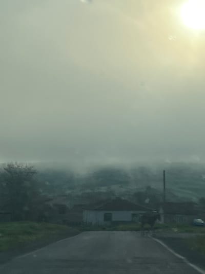 A blurry, tilted, and underexposed photo appears to show an exterior scene in Zidarovo, Bulgaria. To the right, a road is visible, along with green grass and a tree. Further to the left and partially obscured by mist or fog, there is a house with a dark roof. To the top left, there is a bright light source, potentially the sun. A utility pole is also partially visible. The quality of the photograph makes it difficult to discern further details.