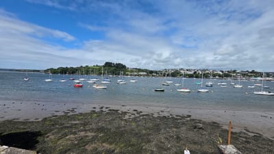 This image depicts a panoramic view of a harbor in Plymouth, United Kingdom, likely during low tide. Numerous sailboats are anchored in the calm, blue water, their masts creating a prominent silhouette against the sky. The shoreline in the foreground is a mixture of sand and rocky debris covered in seaweed. In the background, a town with white buildings and trees lines the hills, with a bridge visible in the distance. The sky is a bright blue with scattered white clouds. One person is visible on the sandy bank in the lower right corner of the image.
