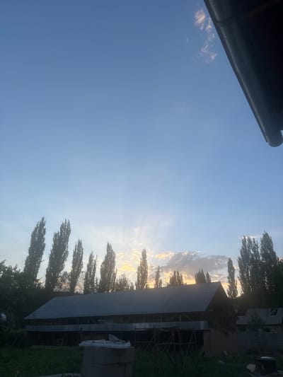 The image shows a wide shot of a rural scene at dusk, possibly in Sarı-Sögöt, Kyrgyzstan. In the foreground, there is a long, low-slung building with a corrugated metal roof, appearing to be a barn or agricultural structure. In front of the building, there are some construction materials, including concrete blocks and what looks like a trowel. The ground is covered in grass and weeds.

Behind the building, a line of tall, slender trees, likely poplars, are silhouetted against the sky. The sky itself is a clear, pale blue, fading to a lighter hue near the horizon where the sun is setting. There are a few wispy clouds, tinged with orange and yellow from the setting sun, casting faint rays of light. A section of a dark gutter or overhang is visible in the upper right corner of the frame, suggesting the photo was taken from under a roof. The overall impression is one of a tranquil, rural evening.