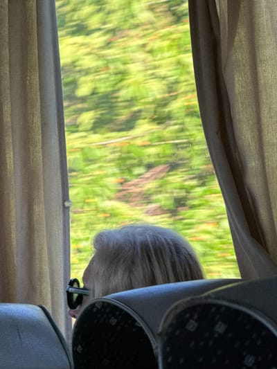 The image shows a close-up, over-the-shoulder view of an elderly person with white hair and glasses, looking out of a window. The person is seated inside a vehicle, likely a bus, as suggested by the seats in the foreground and the curtains framing the window. The view outside the window is blurred due to motion, showing a vibrant green landscape with streaks of brown and orange, indicating trees and foliage passing by rapidly. The scene appears to be set in a rural or natural area, possibly along a road or railway line. No specific landmarks or details indicating the exact location of Kamburovo, Bulgaria are visible in the image itself, other than the context provided in the prompt. The lighting is natural and diffused, coming from the window.