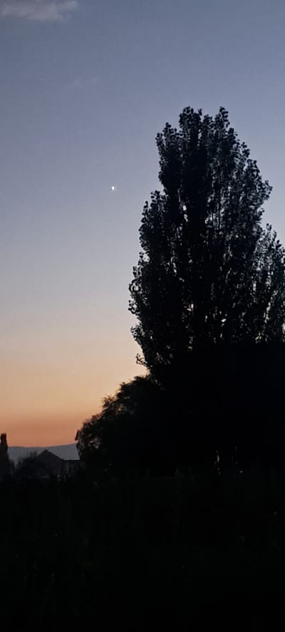The image depicts a silhouetted tree against a twilight sky, suggesting an outdoor setting at dusk. The sky transitions from a pale blue on the left to a warm orange-peach hue on the right, indicating the sun has recently set or is about to rise. A small, bright speck, possibly the moon or a planet, is visible in the upper left portion of the frame. The dense foliage of the tree dominates the upper half of the image, with its branches and leaves rendered as dark shapes against the lighter sky. On the far right, a shadowy, indistinct landscape is visible, including what appears to be a distant mountain range. The overall mood is serene and peaceful, capturing the transitional beauty of the end of the day. The image is a photograph with no visible text.