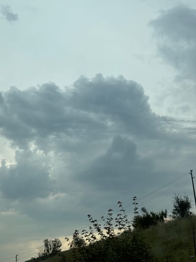 This media file is a photograph of a cloudy sky with a line of trees and vegetation on the right side, viewed from below. The image is oriented vertically, with the sky occupying the majority of the frame. Dark, dramatic clouds dominate the center and left of the image, with lighter, more wispy clouds towards the top. On the right, a dense line of trees and tall grass runs diagonally from top to bottom, creating a natural boundary. A single utility pole with wires is visible against the sky in the upper right portion of the image. The lighting suggests it might be late afternoon or early evening, with the overcast sky creating a muted, somewhat somber atmosphere. There are no people or specific objects of interest beyond the natural elements. The scene appears to be rural, likely in a natural or semi-natural setting, possibly a field bordering a wooded area. The colors are subdued, with shades of gray, white, and dark green.