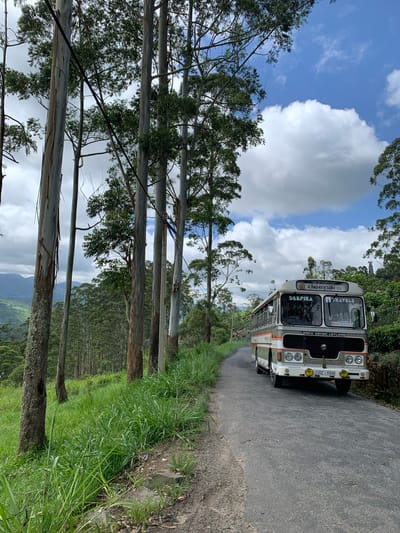 A long, narrow asphalt road winds through a lush, green mountainous landscape. Tall, slender trees with smooth, light-colored bark line the left side of the road, their branches reaching towards a bright blue sky dotted with fluffy white clouds. In the background, rolling hills covered in dense forest extend as far as the eye can see. On the right side of the road, a vintage bus with a cream, orange, and gray color scheme is traveling away from the camera. The bus has "DEEPIKA TRAVELS" written on its front and sides. The license plate reads "GZ-9348". The bus is moving slowly, with a faint trail of smoke or dust rising from behind it. The overall scene suggests a remote, rural location, likely in a tropical or subtropical region. The location is Kuda Maskeliya, Sri Lanka, known for its tea plantations and scenic beauty.