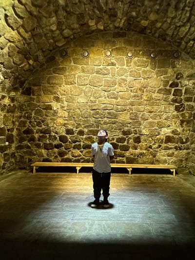 A young boy is standing in the center of a dimly lit room with stone walls and a vaulted stone ceiling. The boy, wearing a white t-shirt and dark pants, is looking upwards. In the background, a wooden bench runs along the stone wall. The floor is made of large, uneven stone slabs. Several circular light fixtures are embedded in the ceiling. The overall impression is that of an ancient, perhaps underground, structure. The location is identified as Artik, Armenia, a city known for its stone quarries and historical churches.
