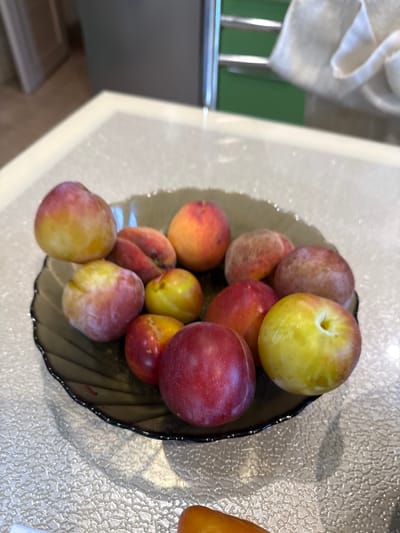 A shallow, dark gray, wavy-edged bowl contains approximately twelve plums of varying colors, including red, yellow, and variegated red and yellow. Some plums appear to be whole, while others show a slight pit indentation. The bowl rests on a textured, light-colored countertop. In the blurred background, a metallic rack with a white cloth draped over it is visible. The overall setting appears to be an indoor environment, likely a kitchen or dining area. There is no indication of the city of Romanovskaya, Russia.