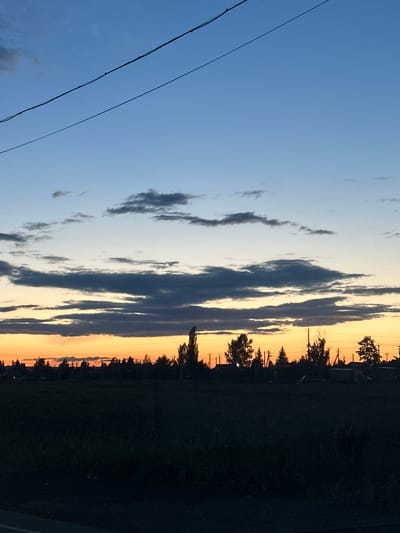 The image depicts a rural landscape at dusk, likely in or around Zubovo, Russia. The sky is a gradient of blues, with darker clouds in the upper portion transitioning to lighter blues and then a warm orange and yellow band near the horizon. Silhouetted against the colorful sky are several trees and what appear to be utility poles and wires. In the foreground, a dark, grassy field is visible, with a paved surface in the very bottom left corner, suggesting a road or pathway. The overall impression is one of a quiet evening in a semi-rural setting.