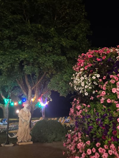 The image depicts an outdoor scene at night, likely in a garden or park setting, with decorative string lights illuminating the area. In the foreground, a statue of a robed woman stands on a pedestal. To the right, a large display of flowering plants, predominantly pink, white, and purple petunias, cascades over a structure. Behind the statue and to the left, a large tree with lush green foliage is visible, with more string lights visible among its branches. In the background, several lounge chairs are arranged, suggesting a recreational or seating area. The overall ambiance is festive and decorative, with the dark night sky providing a contrasting backdrop to the illuminated elements. While the image itself does not explicitly indicate a location in Schwangau, Germany, it captures a scene that could be found in a hotel garden, public park, or event venue within the region.