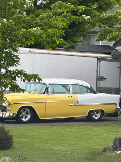The image shows a yellow and white 1955 Chevrolet Bel Air parked on the right side of a paved surface adjacent to a green lawn. A large white commercial truck or trailer is parked to the left of the vehicle. Trees and foliage partially obscure both the vehicle and the truck. The location is suggested to be in Delta, Canada.