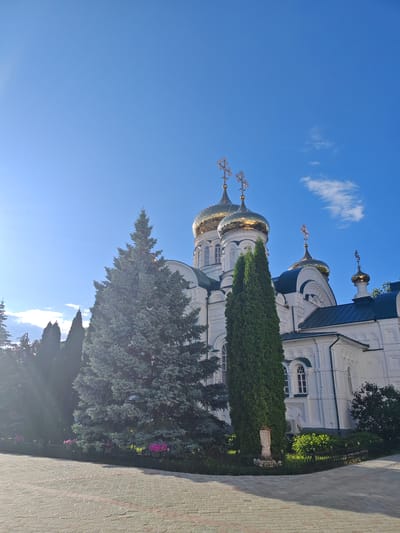 The image shows the Raifa Monastery in the village of Raifa, Russia, under a clear blue sky. The monastery's white walls and gold-domed churches are visible. In the foreground, there is a paved courtyard and several evergreen trees, including a large spruce tree and a tall, slender cypress tree. Pink flowers are visible in hanging baskets along a fence. The sun is shining brightly, casting shadows.